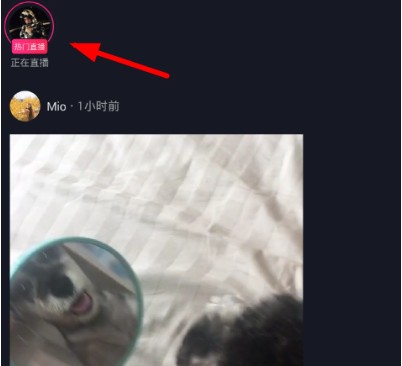 抖音如何加入粉絲團 抖音粉絲團加入教程